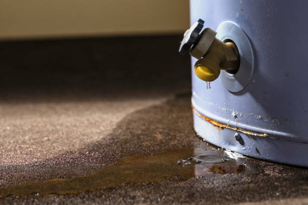 Best Water damage contractors near me  in Balcones Heights, TX