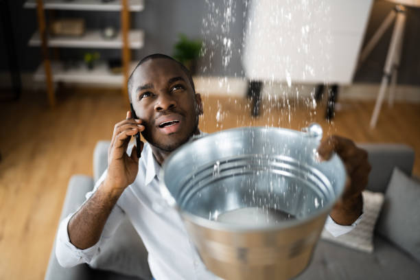 Best Water damage restoration near me  in Balcones Heights, TX