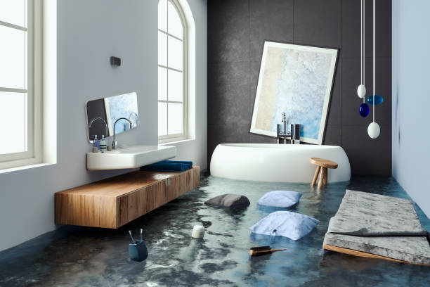 Balcones Heights, TX Water damage restoration Company
