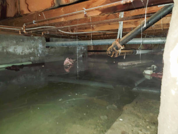 Best 24/7 water damage repair  in Balcones Heights, TX