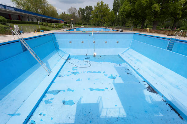 Best Mold removal after water damage  in Balcones Heights, TX