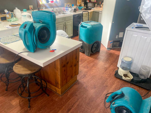 Water damage restoration mold remediation in Balcones Heights, TX