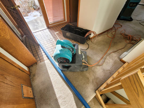 24/7 water damage repair in Balcones Heights, TX