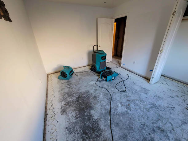 Best Commercial water damage restoration  in Balcones Heights, TX