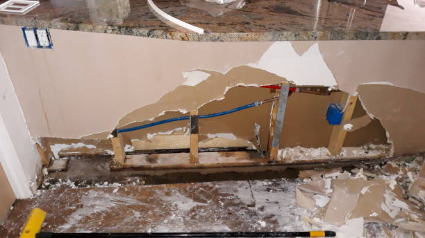 Best 24/7 water damage repair  in Balcones Heights, TX