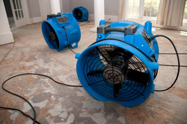 Best Fire Damage Restoration  in Balcones Heights, TX