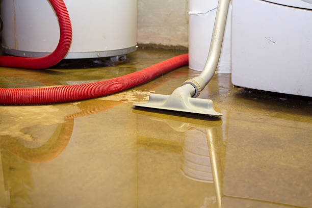Best Flood restoration services  in Balcones Heights, TX