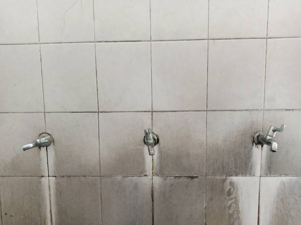 Best Ceiling water damage repair  in Balcones Heights, TX