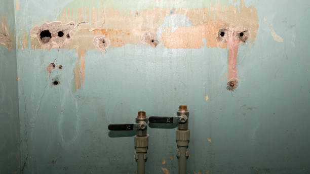 Best Residential water damage restoration  in Balcones Heights, TX