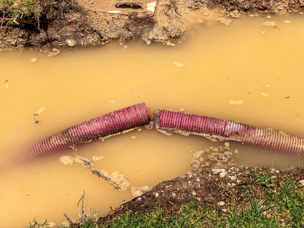 Best Emergency water damage restoration  in Balcones Heights, TX
